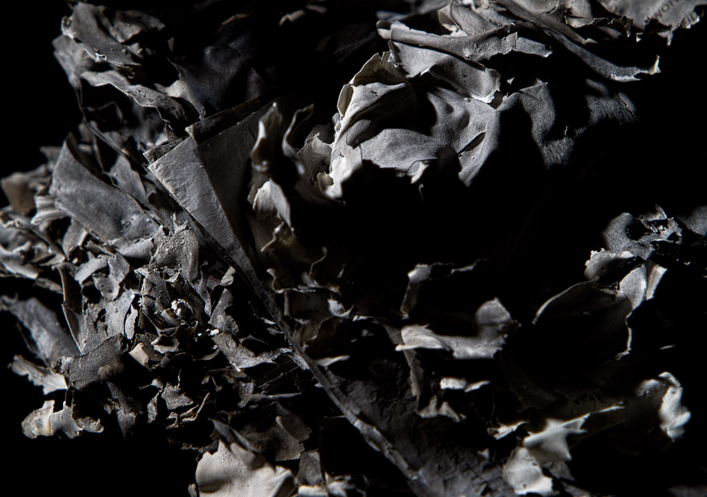 remains
